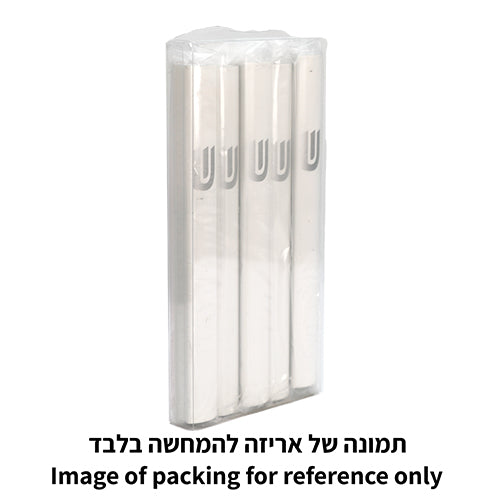 Mezuzah Case Aluminum 12cm Silver