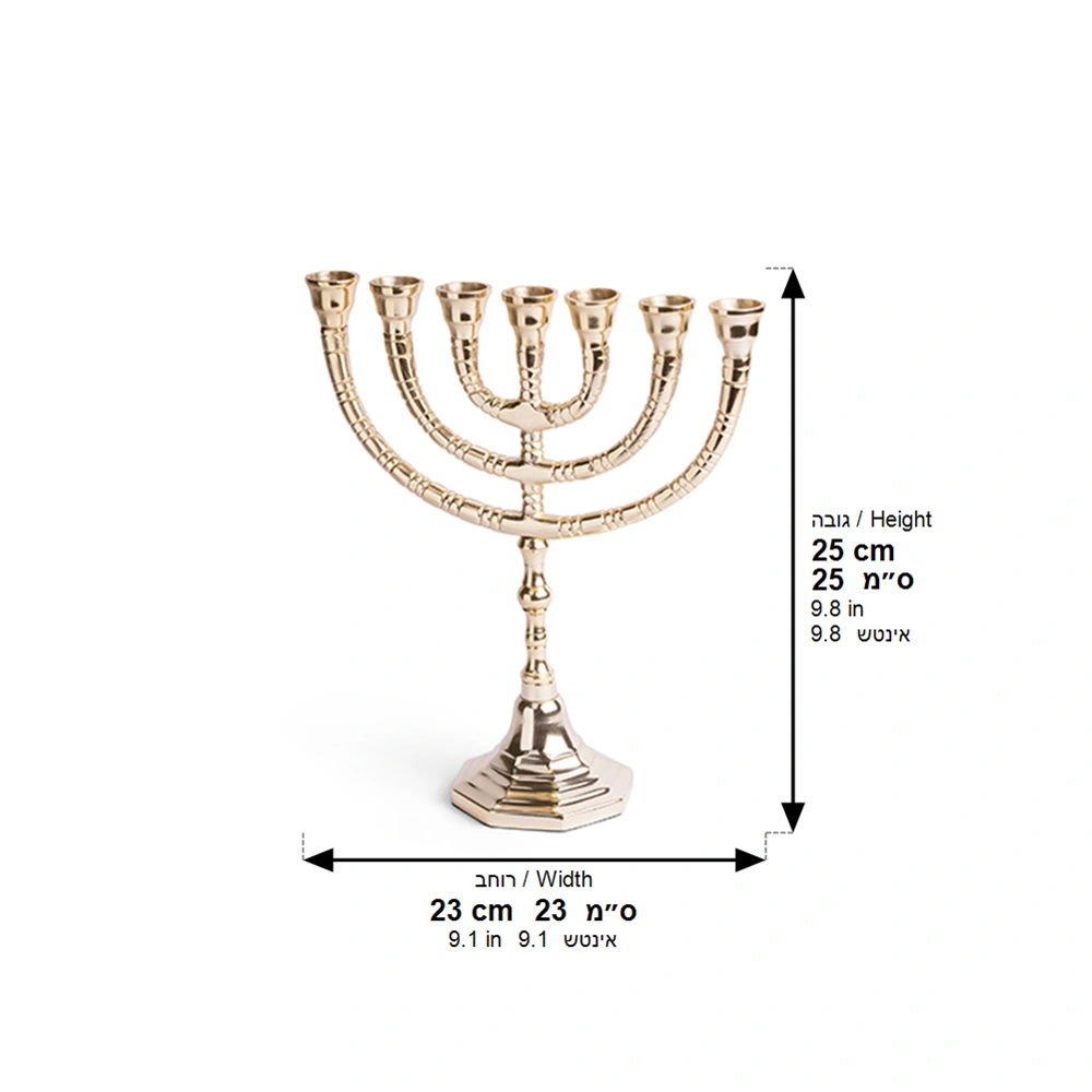 Menora Nickel Finish 24 cm