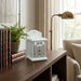 Elegant White Tzedakah Box 18 cm