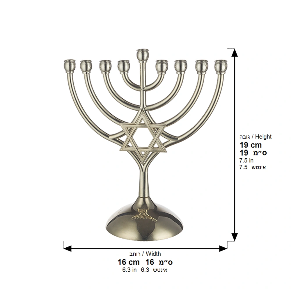 Metal Menorah 18*16 Cm-magen David