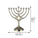 Metal Menorah 18*16 Cm-magen David