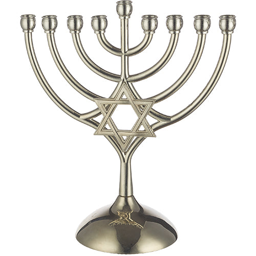 Metal Menorah 18*16 Cm-magen David