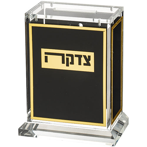 Lucite Tzedakah Box 13cm - Gold, Black