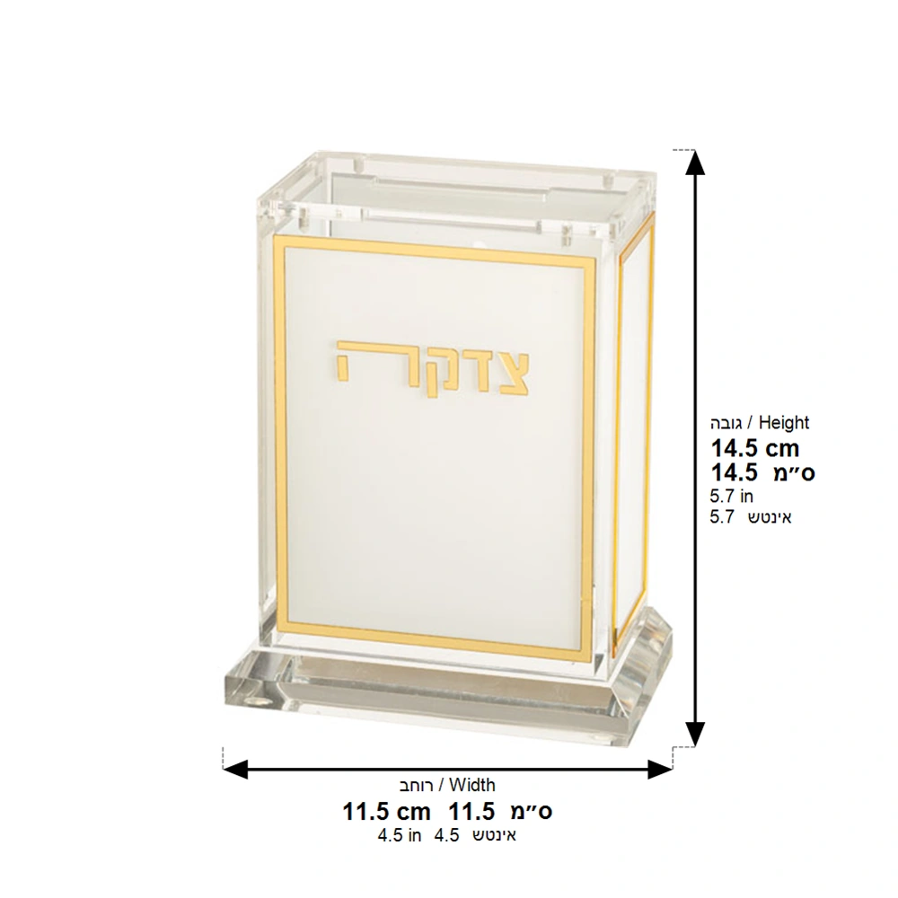 Lucite Tzedakah Box 13cm - Gold, White