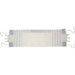 Fabric Scarf 30*105 cm White with Silver Stripes