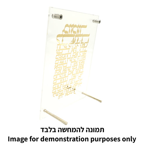 Lucite Frame with Plate 24*23 cm