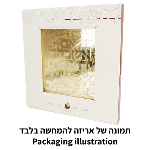 Lucite Frame with Plate 24*23 cm