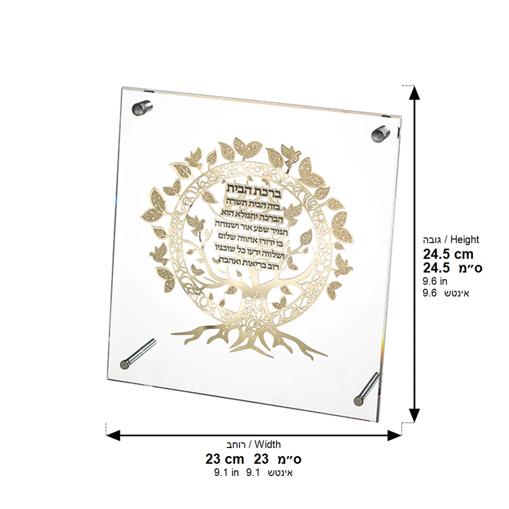 Lucite Frame with Plate 24*23 cm