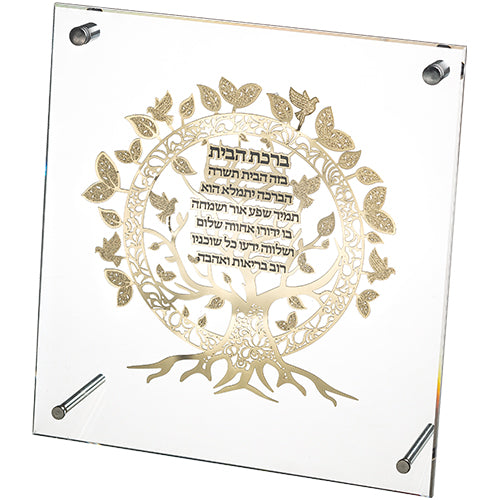 Lucite Frame with Plate 24*23 cm