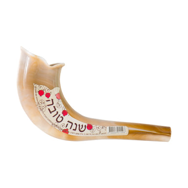 Small Plastic Shofar 18 Cm- Natural Color size: Medium