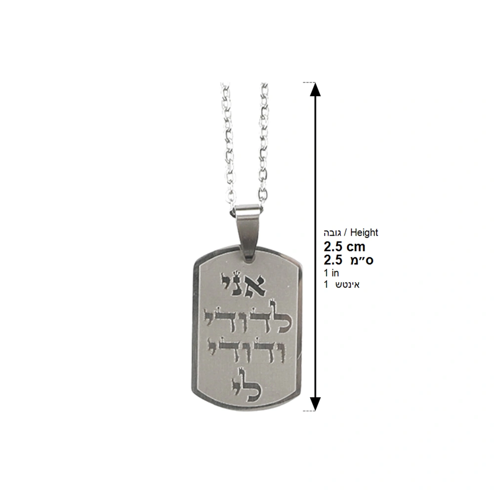 Stainless Steel Necklace 50 cm- "Ani Ledodi" 2.5 cm - Silver